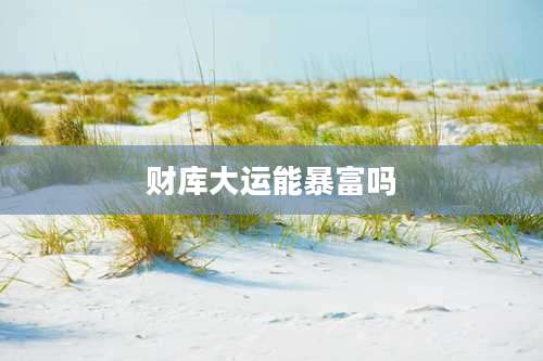 财库大运能暴富吗