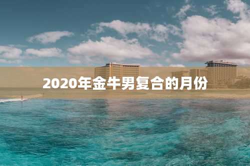 2020年金牛男复合的月份