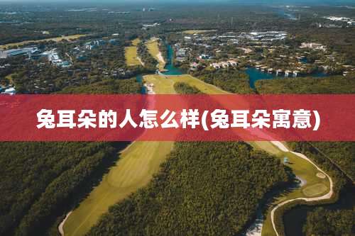 兔耳朵的人怎么样(兔耳朵寓意)