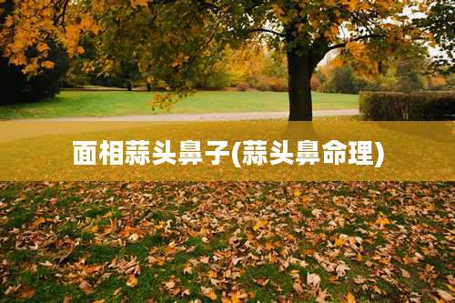面相蒜头鼻子(蒜头鼻命理)