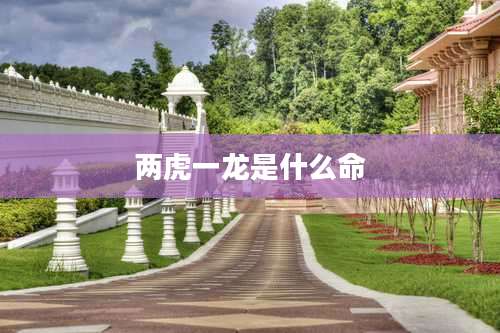 两虎一龙是什么命