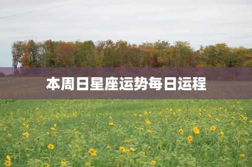 本周日星座运势每日运程