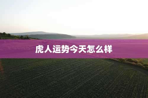 虎人运势今天怎么样