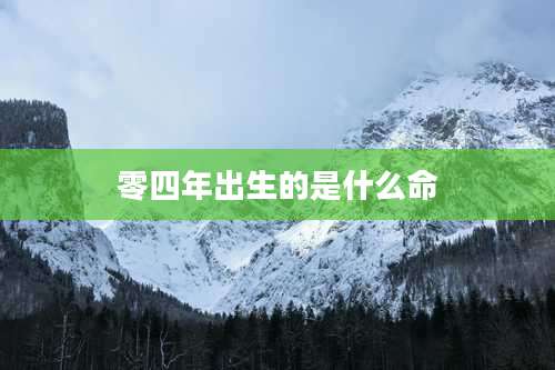 零四年出生的是什么命