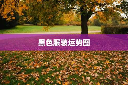 黑色服装运势图
