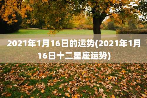 2021年1月16日的运势(2021年1月16日十二星座运势)