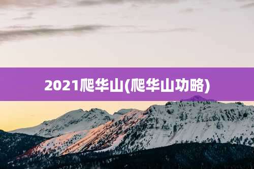2021爬华山(爬华山功略)