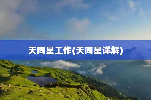 天同星工作(天同星详解)