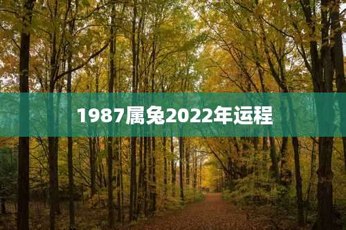 1987属兔2022年运程