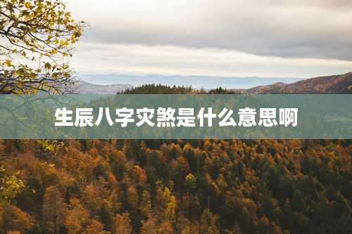 生辰八字灾煞是什么意思啊