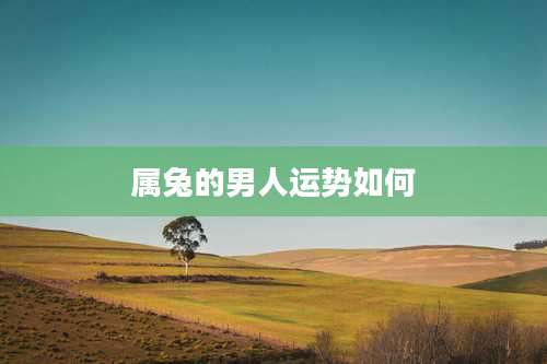 属兔的男人运势如何