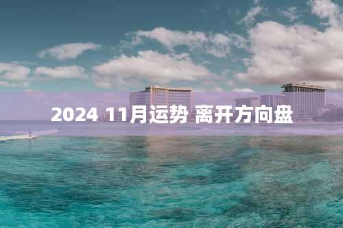 2024 11月运势 离开方向盘