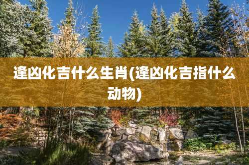 逢凶化吉什么生肖(逢凶化吉指什么动物)