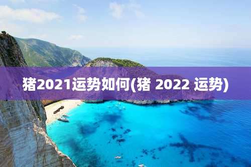 猪2021运势如何(猪 2022 运势)