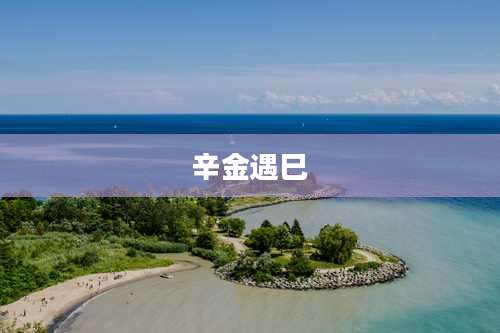 辛金遇巳