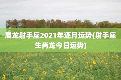 属龙射手座2021年逐月运势(射手座生肖龙今日运势)