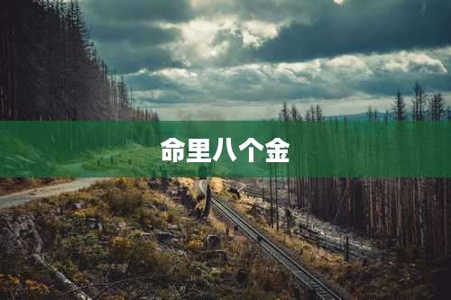 命里八个金