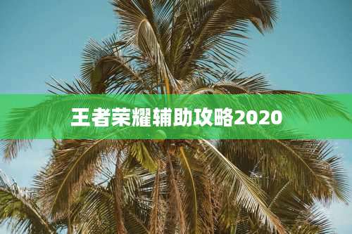 王者荣耀辅助攻略2020