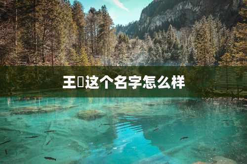 王赟这个名字怎么样
