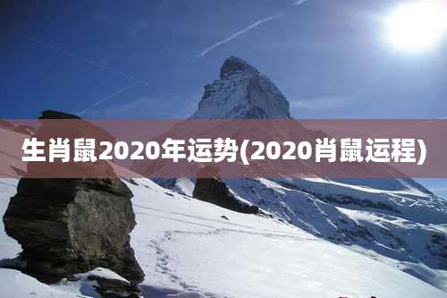 生肖鼠2020年运势(2020肖鼠运程)