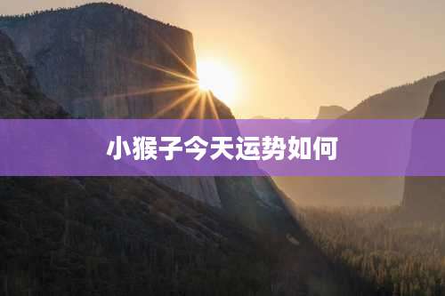 小猴子今天运势如何