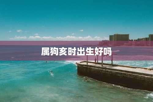 属狗亥时出生好吗