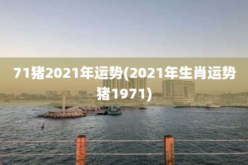71猪2021年运势(2021年生肖运势猪1971)