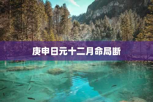 庚申日元十二月命局断