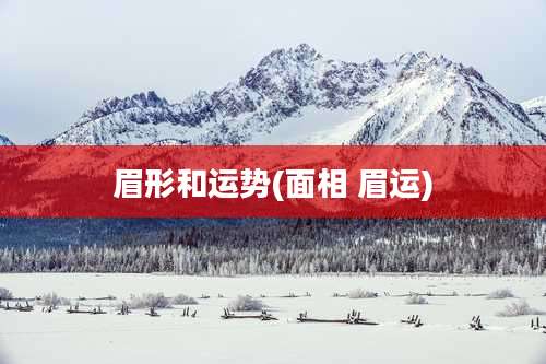 眉形和运势(面相 眉运)