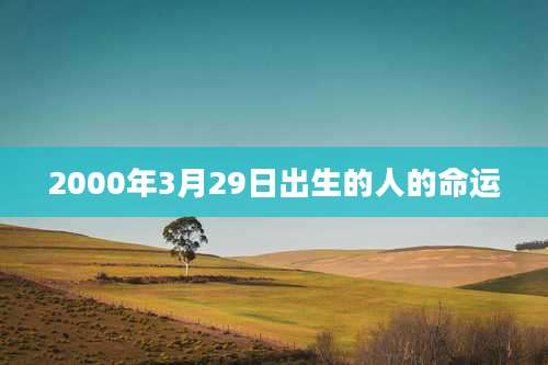 2000年3月29日出生的人的命运