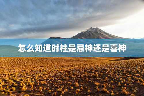 怎么知道时柱是忌神还是喜神