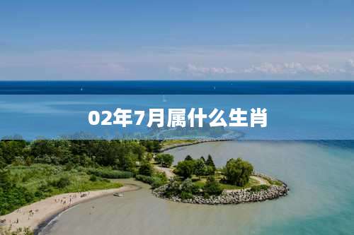 02年7月属什么生肖