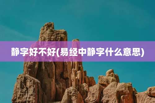 静字好不好(易经中静字什么意思)