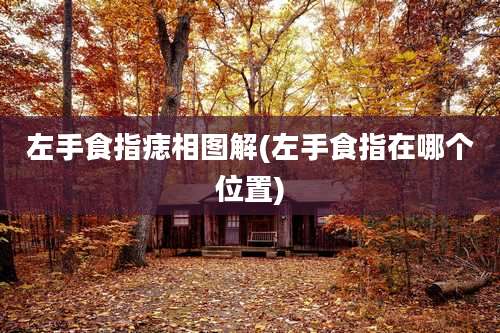 左手食指痣相图解(左手食指在哪个位置)