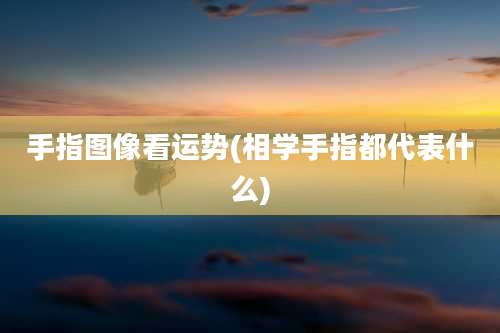 手指图像看运势(相学手指都代表什么)