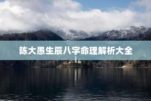 陈大愚生辰八字命理解析大全