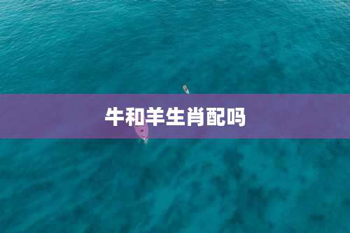 牛和羊生肖配吗
