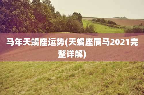 马年天蝎座运势(天蝎座属马2021完整详解)