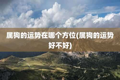 属狗的运势在哪个方位(属狗的运势好不好)