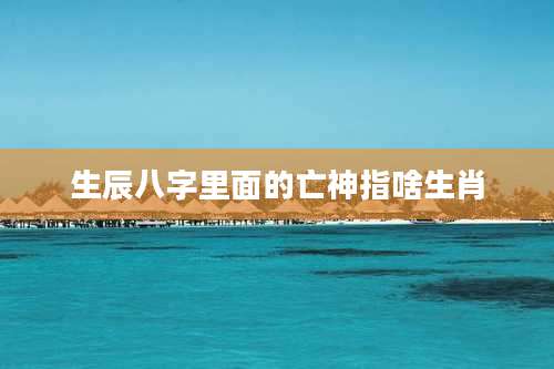 生辰八字里面的亡神指啥生肖