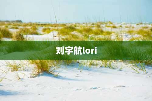 刘宇航lori