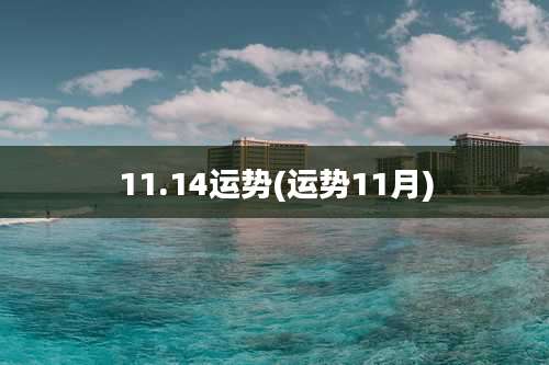 11.14运势(运势11月)