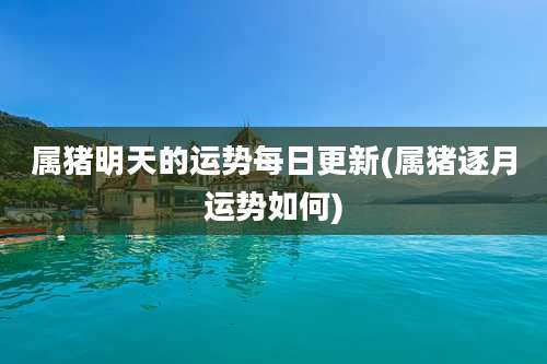 属猪明天的运势每日更新(属猪逐月运势如何)