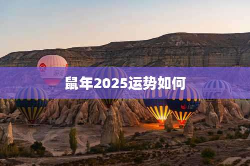 鼠年2025运势如何