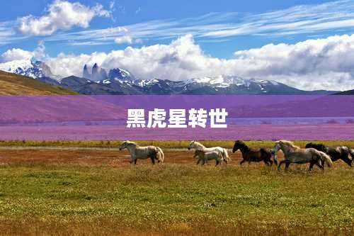 黑虎星转世