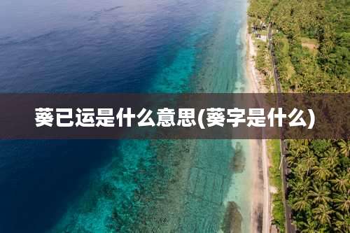 葵已运是什么意思(葵字是什么)