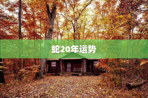 蛇20年运势