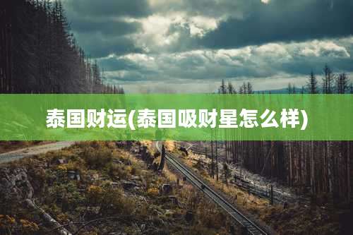 泰国财运(泰国吸财星怎么样)