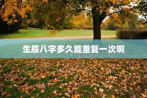 生辰八字多久能重复一次啊