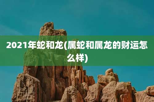 2021年蛇和龙(属蛇和属龙的财运怎么样)